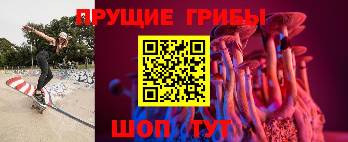 Псилоцибиновые грибы Psilocybe Нефтекамск